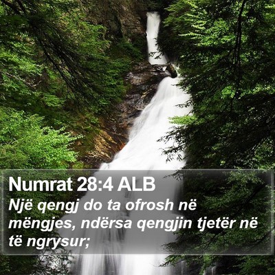 Numrat 28:4 ALB Bible Verse Image