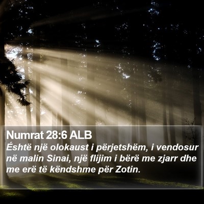 Numrat 28:6 ALB Bible Verse Image