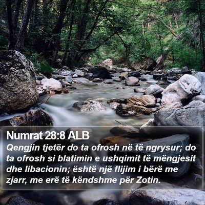 Numrat 28:8 ALB Bible Verse Image