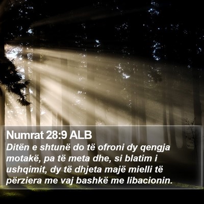 Numrat 28:9 ALB Bible Verse Image
