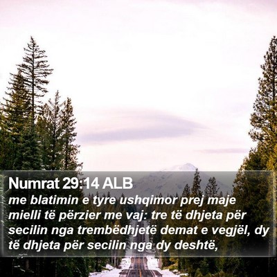 Numrat 29:14 ALB Bible Verse Image
