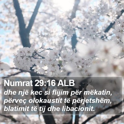 Numrat 29:16 ALB Bible Verse Image