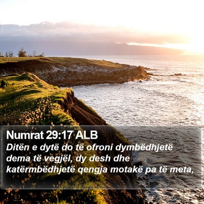 Numrat 29:17 ALB Bible Verse Image
