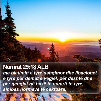 Numrat 29:18 ALB Bible Verse Image