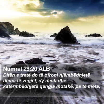 Numrat 29:20 ALB Bible Verse Image