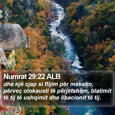 Numrat 29:22 ALB Bible Verse Image