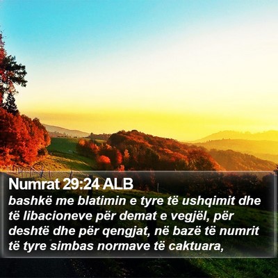 Numrat 29:24 ALB Bible Verse Image
