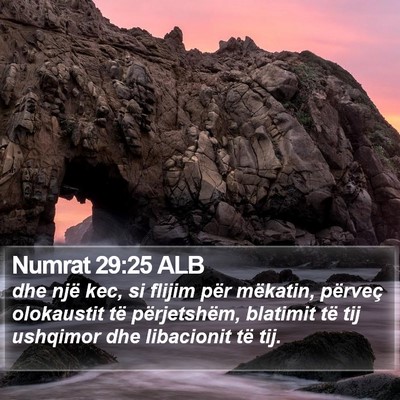Numrat 29:25 ALB Bible Verse Image