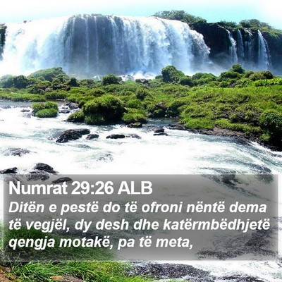 Numrat 29:26 ALB Bible Verse Image