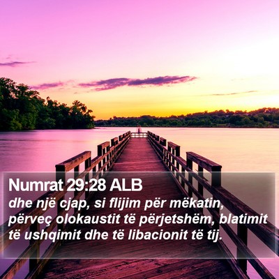 Numrat 29:28 ALB Bible Verse Image