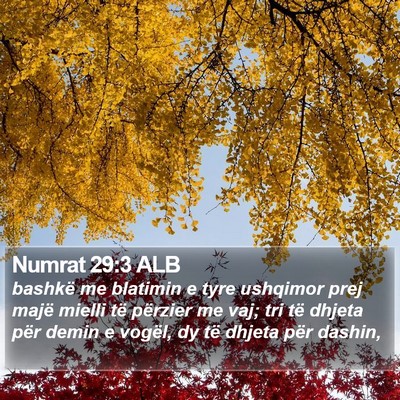Numrat 29:3 ALB Bible Verse Image