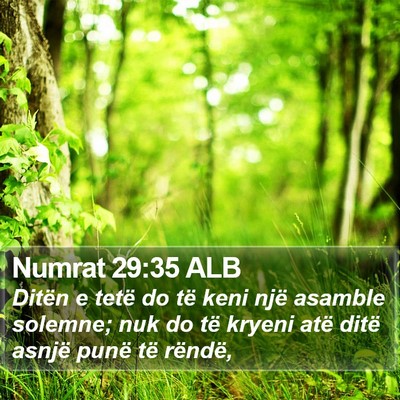 Numrat 29:35 ALB Bible Verse Image