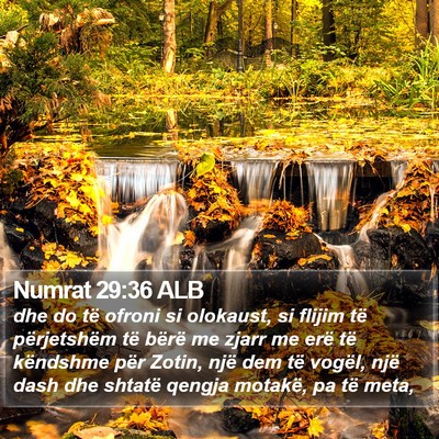 Numrat 29:36 ALB Bible Verse Image