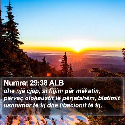 Numrat 29:38 ALB Bible Verse Image