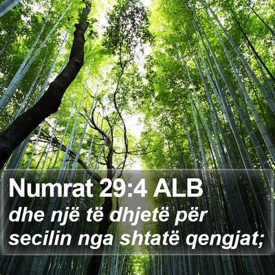 Numrat 29:4 ALB Bible Verse Image