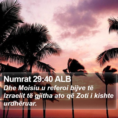 Numrat 29:40 ALB Bible Verse Image