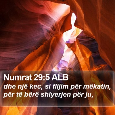 Numrat 29:5 ALB Bible Verse Image