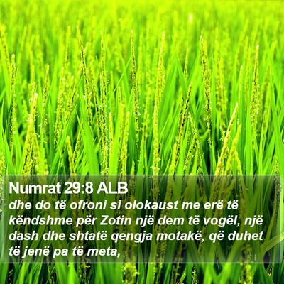 Numrat 29:8 ALB Bible Verse Image