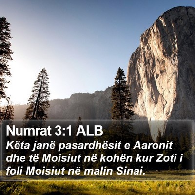 Numrat 3:1 ALB Bible Verse Image