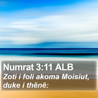 Numrat 3:11 ALB Bible Verse Image