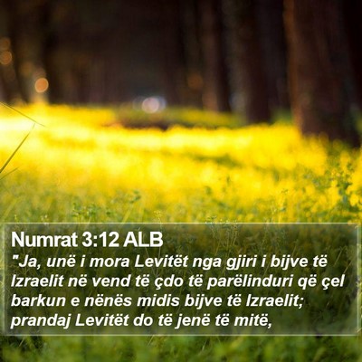 Numrat 3:12 ALB Bible Verse Image