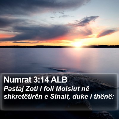Numrat 3:14 ALB Bible Verse Image
