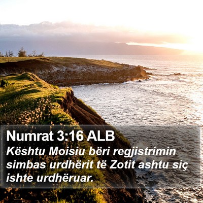 Numrat 3:16 ALB Bible Verse Image