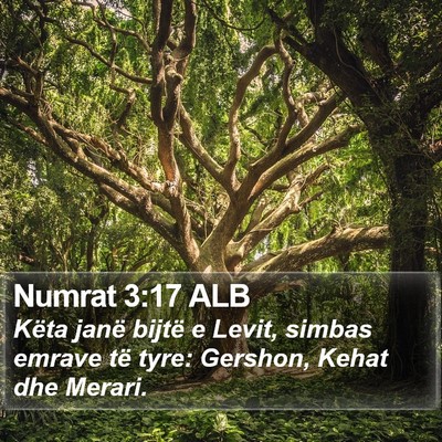 Numrat 3:17 ALB Bible Verse Image
