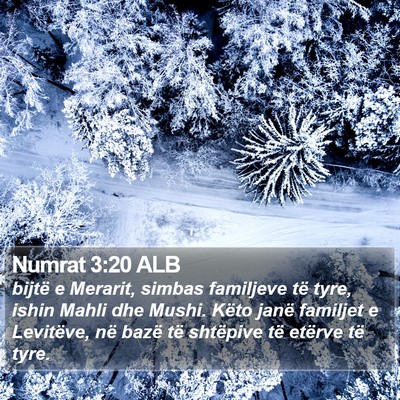 Numrat 3:20 ALB Bible Verse Image
