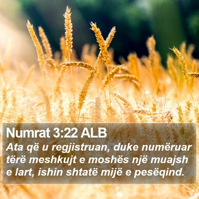 Numrat 3:22 ALB Bible Verse Image