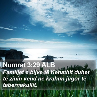 Numrat 3:29 ALB Bible Verse Image