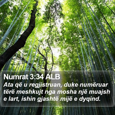 Numrat 3:34 ALB Bible Verse Image