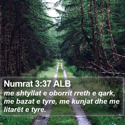 Numrat 3:37 ALB Bible Verse Image