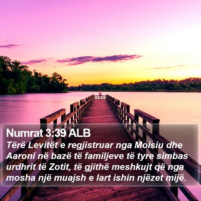 Numrat 3:39 ALB Bible Verse Image