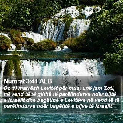 Numrat 3:41 ALB Bible Verse Image