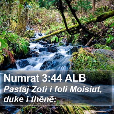 Numrat 3:44 ALB Bible Verse Image