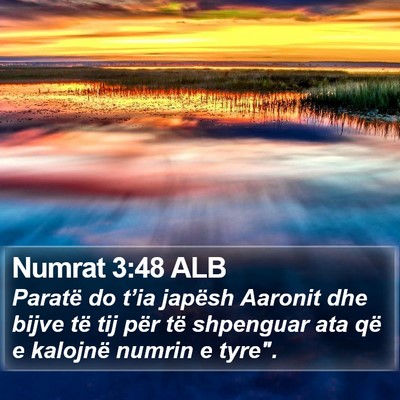 Numrat 3:48 ALB Bible Verse Image