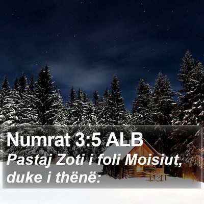 Numrat 3:5 ALB Bible Verse Image