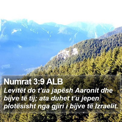Numrat 3:9 ALB Bible Verse Image