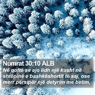 Numrat 30:10 ALB Bible Verse Image