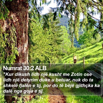 Numrat 30:2 ALB Bible Verse Image
