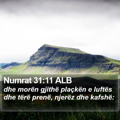 Numrat 31:11 ALB Bible Verse Image