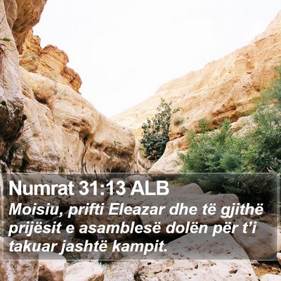 Numrat 31:13 ALB Bible Verse Image