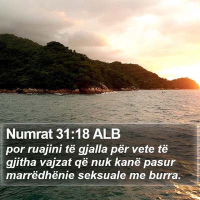Numrat 31:18 ALB Bible Verse Image