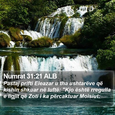 Numrat 31:21 ALB Bible Verse Image