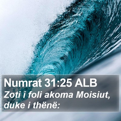 Numrat 31:25 ALB Bible Verse Image