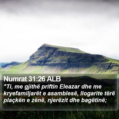 Numrat 31:26 ALB Bible Verse Image