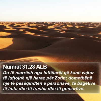 Numrat 31:28 ALB Bible Verse Image
