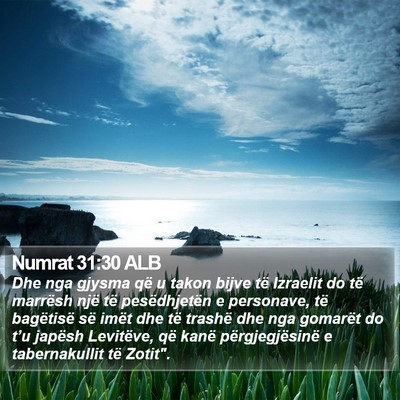 Numrat 31:30 ALB Bible Verse Image