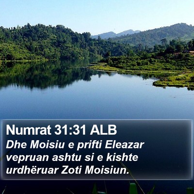 Numrat 31:31 ALB Bible Verse Image